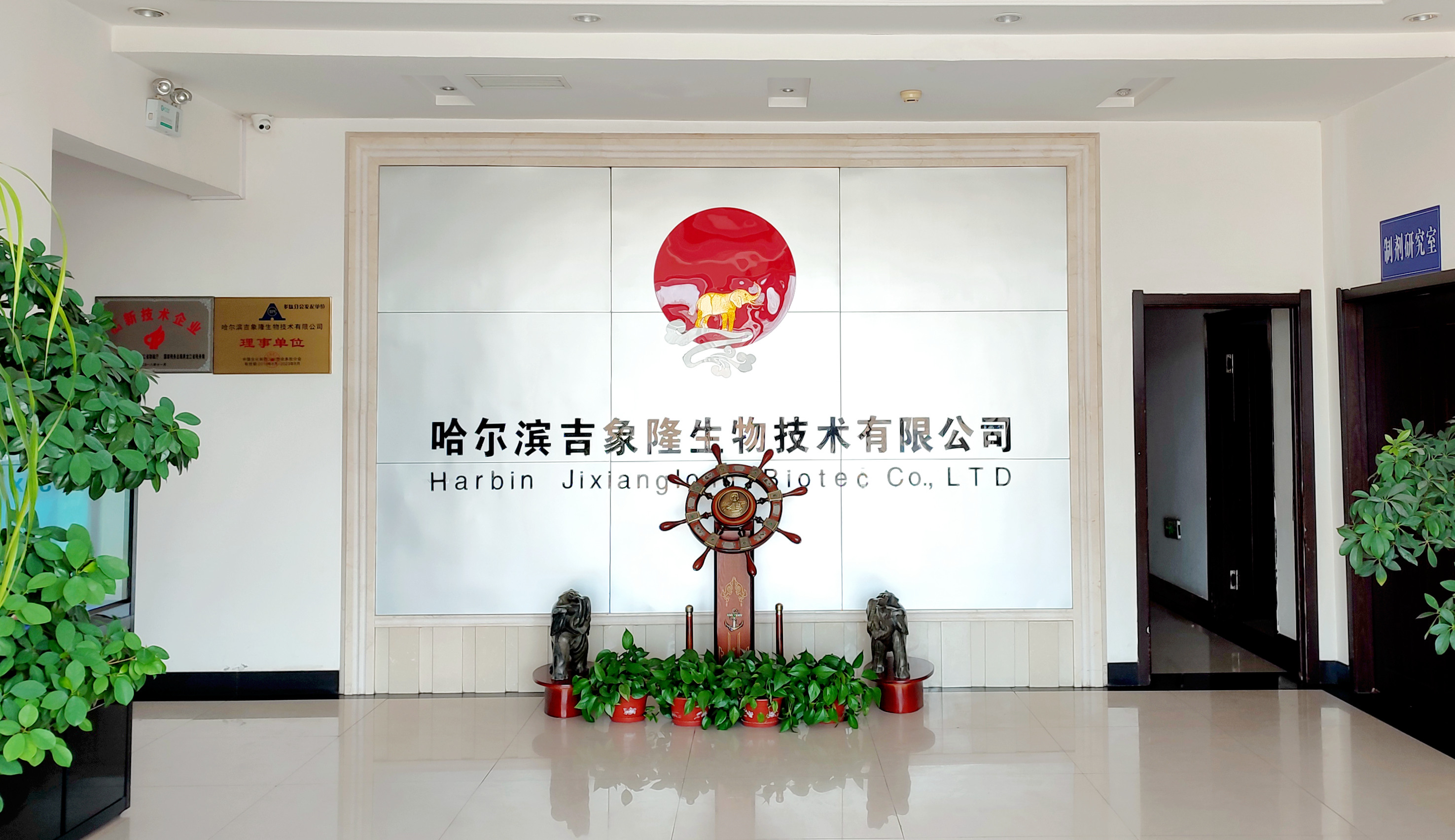 IM网页版登录入口_IM（中国）